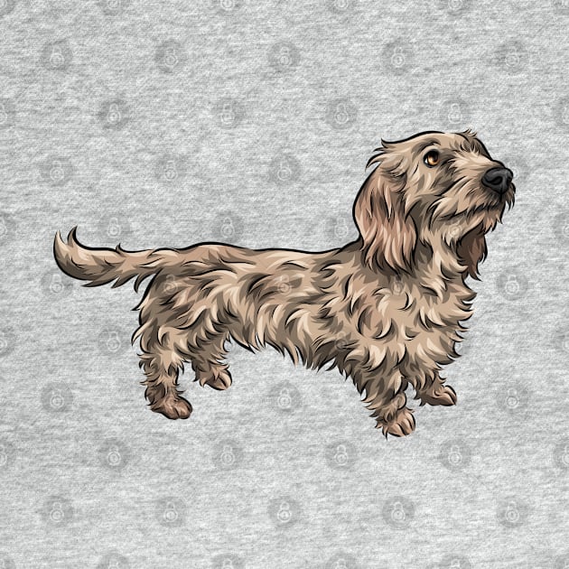 Wirehaired Dachshund by Shirin Illustration